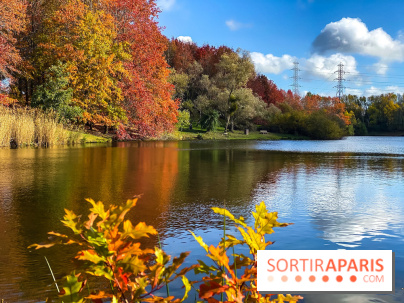 Bassin - étang de la Boissière à Elancourt