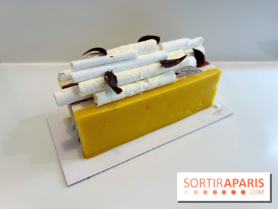 Les bûches de Noël glacées 2023 de David Wesmaël à La Glacerie Paris - DCE4874D 8826 4267 B1C6 EFD723284399