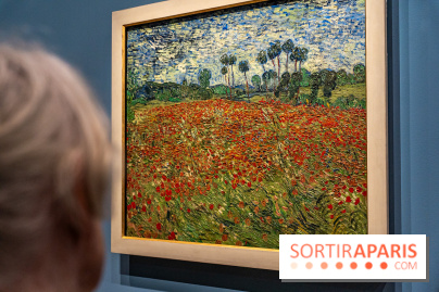 Exposition Van Gogh au Musée d’Orsay - Auvers-sur-Oise, les derniers mois - A7C3110