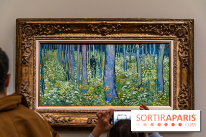 Exposition Van Gogh au Musée d’Orsay - Auvers-sur-Oise, les derniers mois - A7C3124