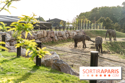 Les lodges de Thoiry - dormir à Thoiry en Terres d'Afrique - Photos -  A7C3291