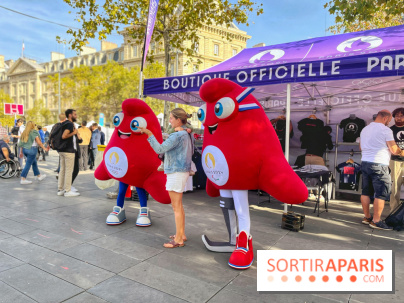 Journée Paralympique  - IMG 5733