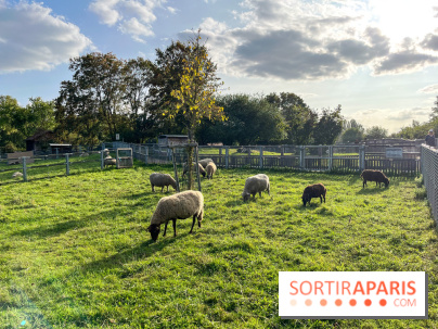 La ferme pédagogique du parc des Chanteraines