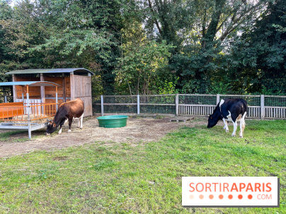 La ferme pédagogique du parc des Chanteraines