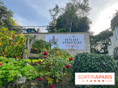 Fête Vendanges 2023 vignes