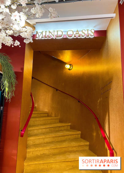 Rituals Mind Oasis - institut de relaxation mentale sur les Champs-Élysées