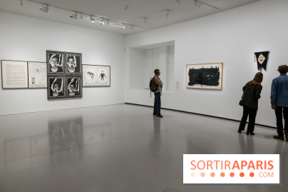 Mike Kelley à la Bourse de Commerce - IMG 1130