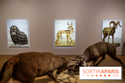 Sean Landers, les photos de son expo au Musée de la Chasse et de la Nature - IMG 1238