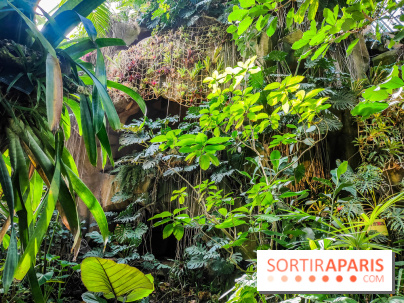 Automne Tropical 2023