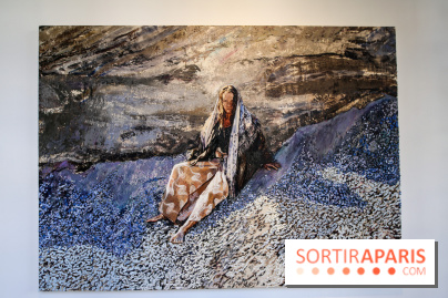Sara-Vide Ericson : les photos de son expo à l'Institut suédois