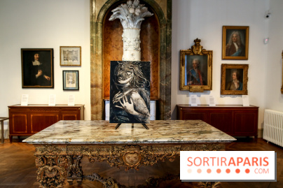 Sara-Vide Ericson : les photos de son expo à l'Institut suédois