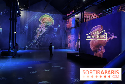Océans, l'Odyssée Immersive à l'Atelier des Lumières - IMG 6095