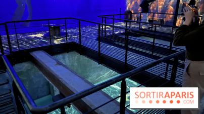 Océans, l'Odyssée Immersive à l'Atelier des Lumières - IMG 6134