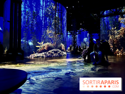 Océans, l'Odyssée Immersive à l'Atelier des Lumières - IMG 6173