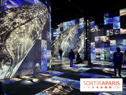 Océans, l'Odyssée Immersive à l'Atelier des Lumières - IMG 6244