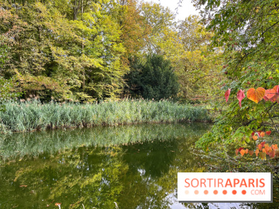 Le parc de l'Île Verte à Chatenay-Malabry - nos photos - image00548