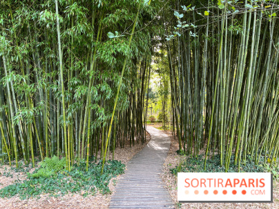 Le parc de l'Île Verte à Chatenay-Malabry - nos photos - image00542