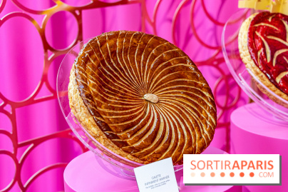 Les bûches de Noël 2023 et galettes 2024 de Pierre Hermé  - A7C1717