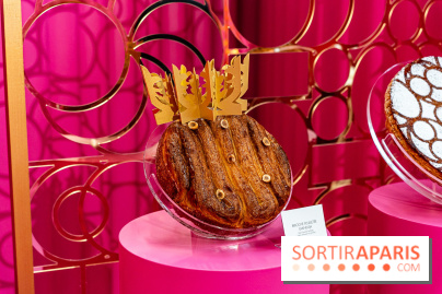 Les bûches de Noël 2023 et galettes 2024 de Pierre Hermé  - A7C1767