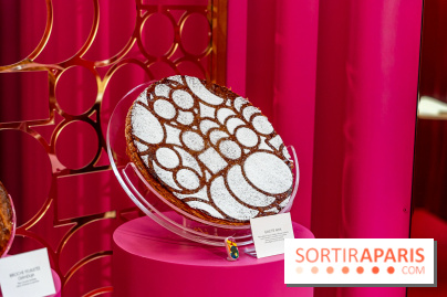 Les bûches de Noël 2023 et galettes 2024 de Pierre Hermé  - A7C1768