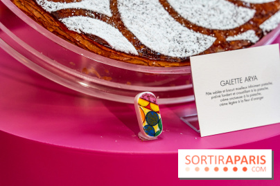 Les bûches de Noël 2023 et galettes 2024 de Pierre Hermé  - A7C1774