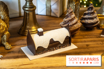 Bûches de Noël 2023 et galette 2024 de Lenôtre - A7C0848