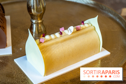 Bûches de Noël 2023 et galette 2024 de Lenôtre - A7C0851