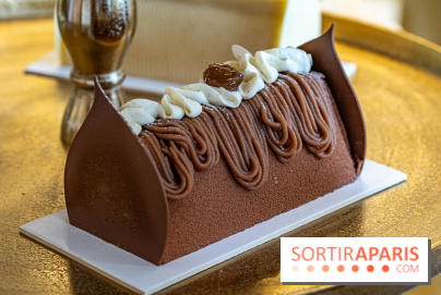 Bûches de Noël 2023 et galette 2024 de Lenôtre - A7C0869 2