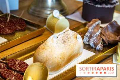 Bûches de Noël 2023 et galette 2024 de Lenôtre - A7C0873