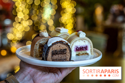 Bûches de Noël 2023 et galette 2024 de Lenôtre - A7C0893