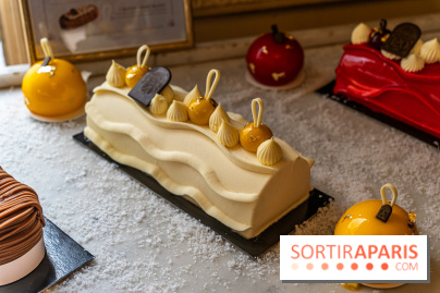 Bûche de Noël d'Angelina 2023 - A7C0402