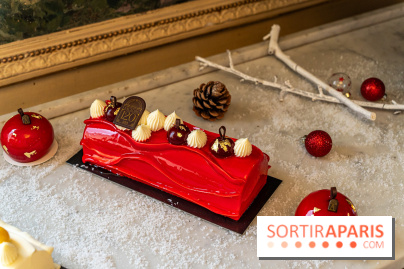 Bûche de Noël d'Angelina 2023 - A7C0403