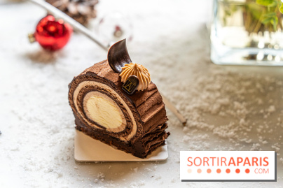 Bûche de Noël d'Angelina 2023 - A7C0405