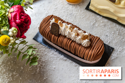 Bûche de Noël d'Angelina 2023 - A7C0410