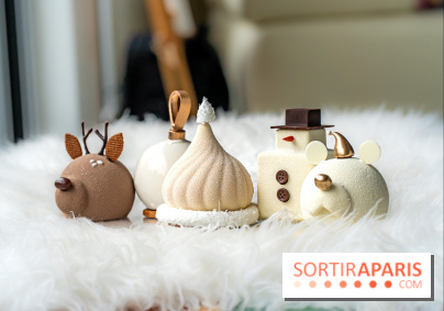 Bûche de Noël de Candy Paradis 2023 - A7C5073