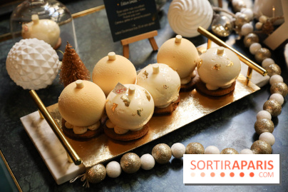 Les Bûches de Noël IG Bas des Belles Envies 2023 - IMG 2780