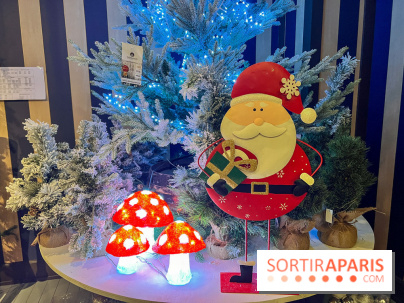 Un Noël Magique à So Ouest