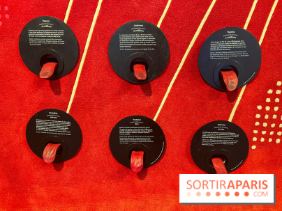 Le musée de l'Homme - collections permanentes - image00060