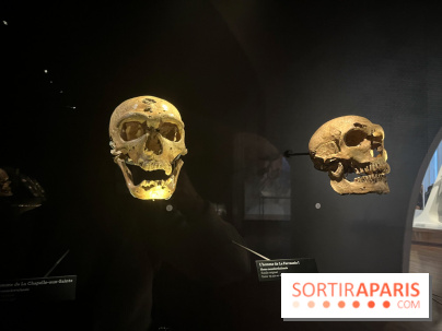 Le musée de l'Homme - collections permanentes - image00044