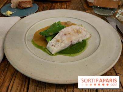 Dersou - Bar et haricots plats