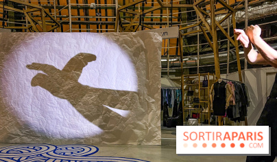 Spectacle d'ombres au Printemps Haussmann - IMG 4395 jpg