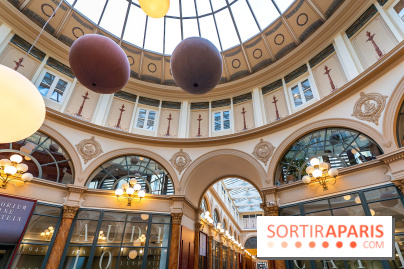 La Galerie Colbert, le passage parisien, voisin de la Galerie Vivienne - A7C03063