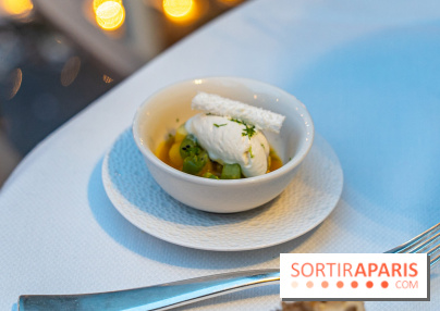 Le Tea Time du Joy à l'Hôtel Fouquet's sur sa terrasse d'hiver enchantée -  A7C9649