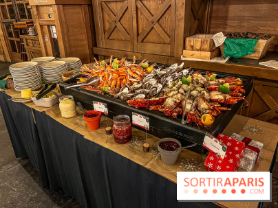 Réveillon de Noël et du Nouvel an à la Cité Suspendue du Parc Astérix - IMG 4733