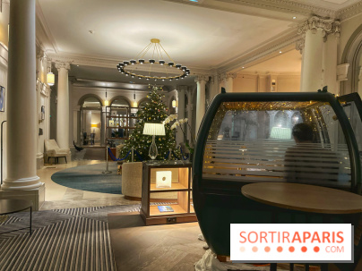 Fondue au Marriott Opera - IMG 7691