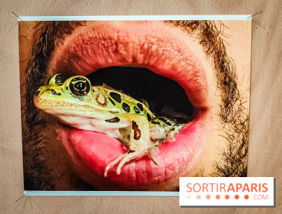 I need to live, l'exposition surprenante de Juergen Teller à voir au Grand Palais Ephémère à Paris