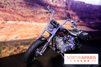 Johnny Hallyday, nos photos de l'expo à Paris - IMG 2059