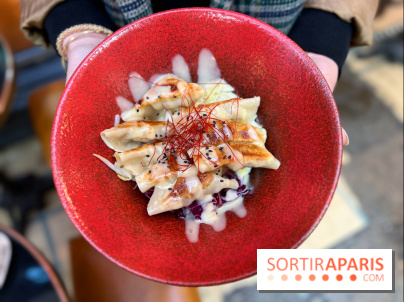 Gyoza Bar - Gyozas porc