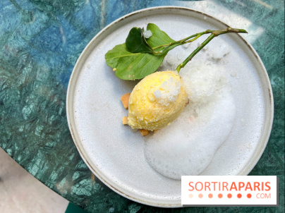 Halo de Victor Blanchet - Citron réaliste