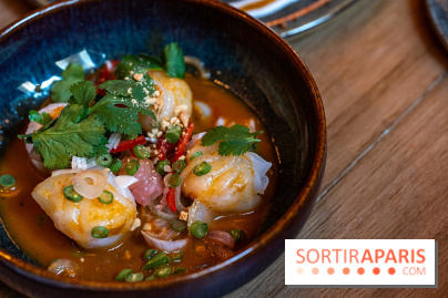 Little Bambou, le nouveau restaurant thaï de Trocadéro - raviolis